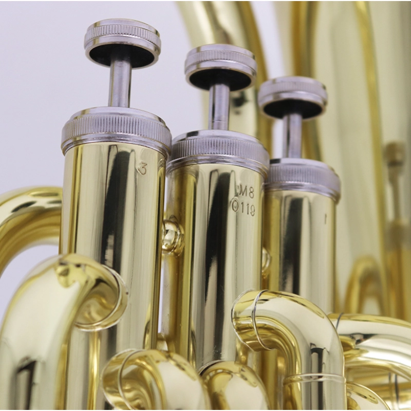 Morgan EU250 Euphonium 4 Pistoni Laccato