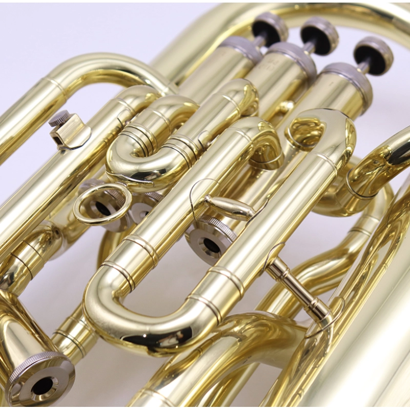 Morgan EU250 Euphonium 4 Pistoni Laccato