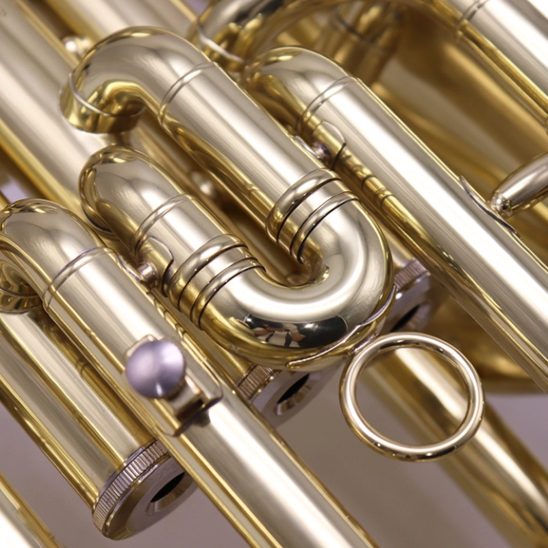 Morgan EU250 Euphonium 4 Pistoni Laccato