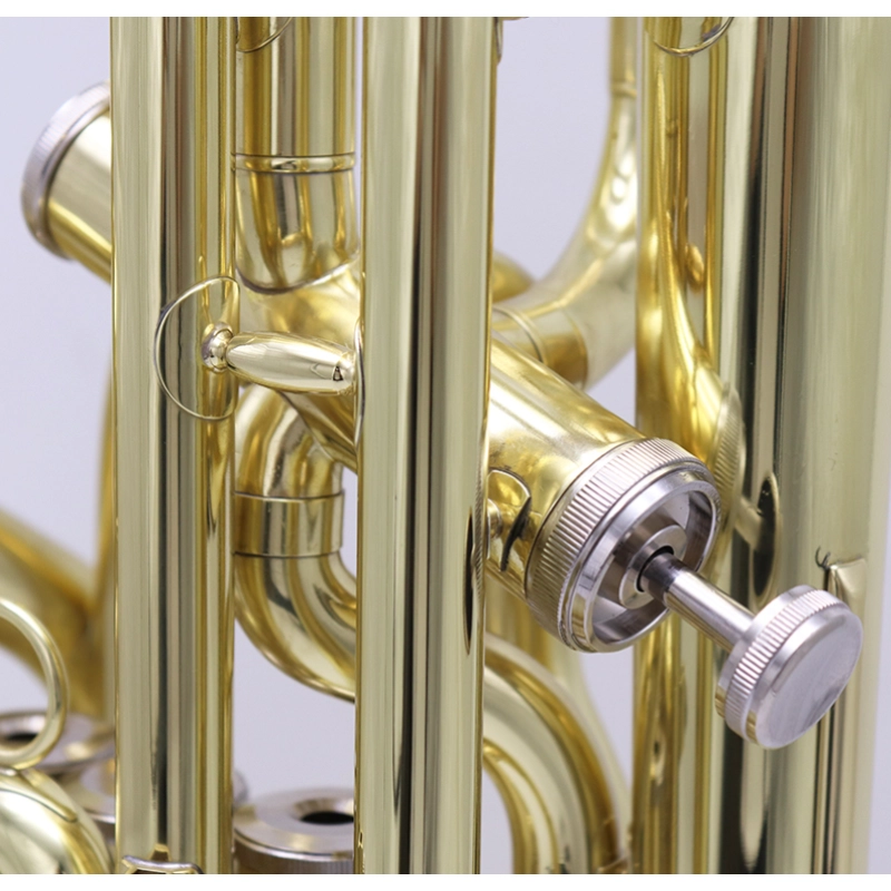 Morgan EU250 Euphonium 4 Pistoni Laccato