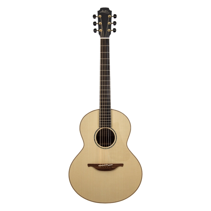 Lowden The 35 S-35-KO/LZ elettrificata