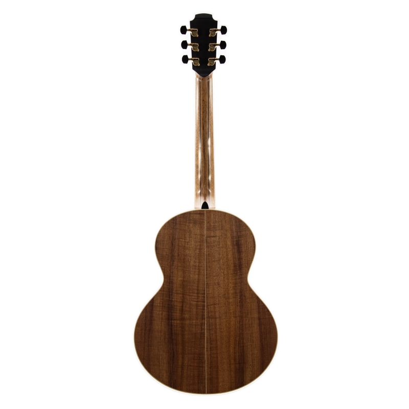 Lowden The 35 S-35-KO/LZ elettrificata