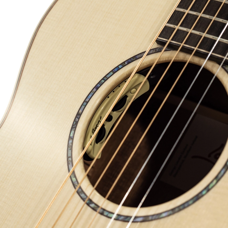 Lowden The 35 S-35-KO/LZ elettrificata