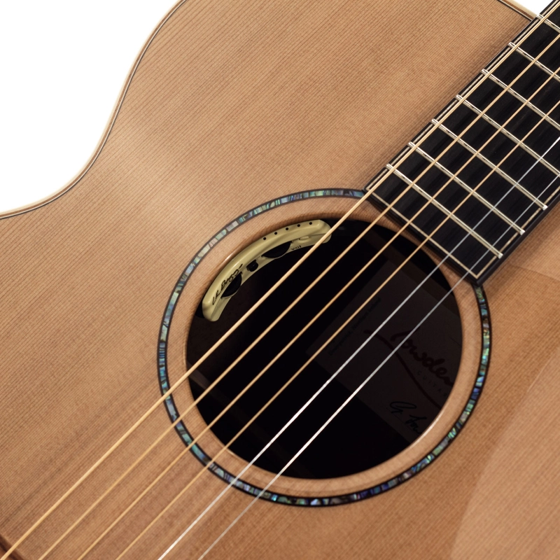 Lowden The 35 O-35C-WA/RC elettrificata