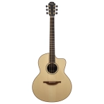 Lowden The 35 F-35C-IR/AD elettrificata