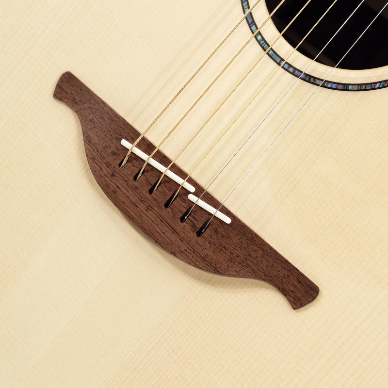 Lowden The 35 F-35C-IR/AD elettrificata