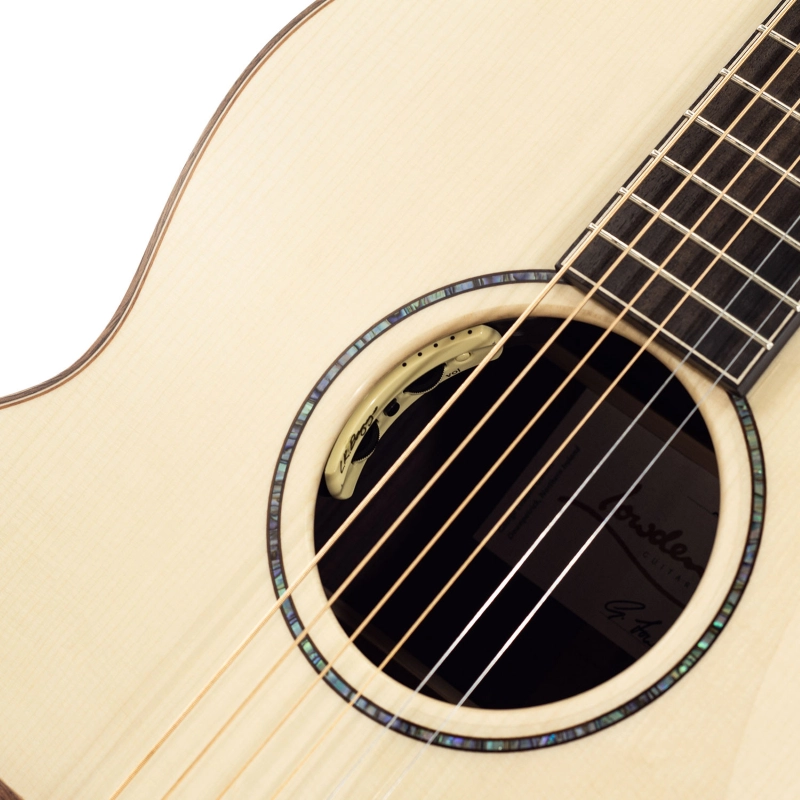 Lowden The 35 F-35C-IR/AD elettrificata