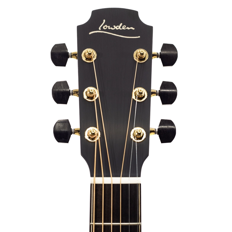 Lowden The 35 F-35C-IR/AD elettrificata