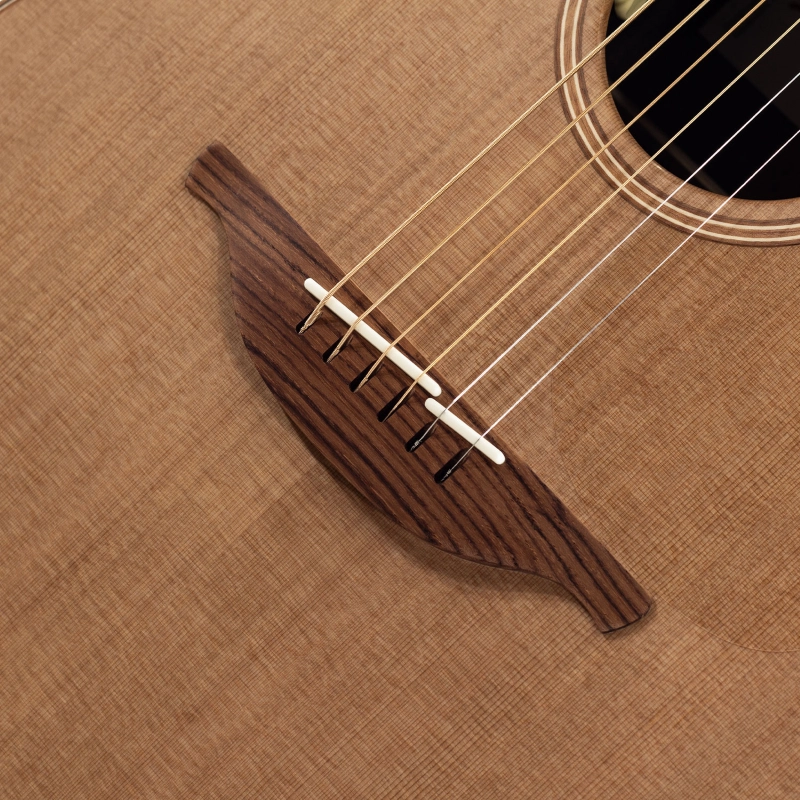 Lowden Original WL-25 elettrificata