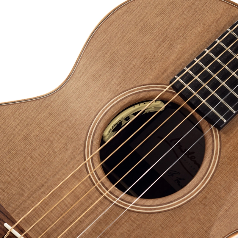 Lowden Original WL-25 elettrificata