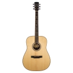 Larrivee 03 Deluxe SE Dreadnought Elettrificata