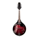 Stagg M50e Mandolino elettrico bluegrass