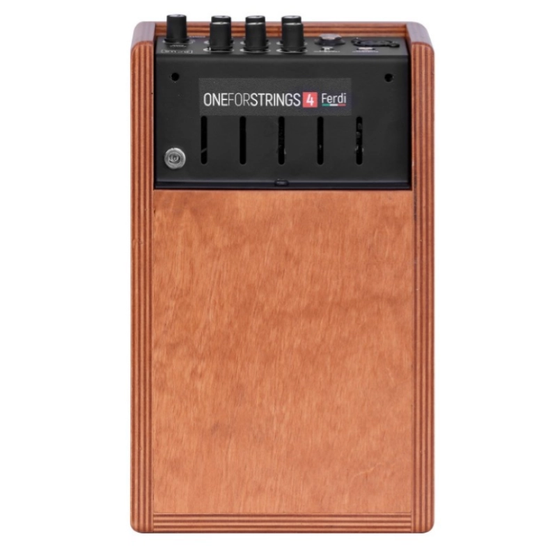Acus One ForStrings 4 Ferdi Wood