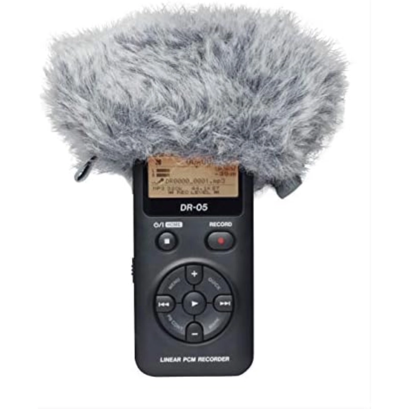 Tascam WS-11