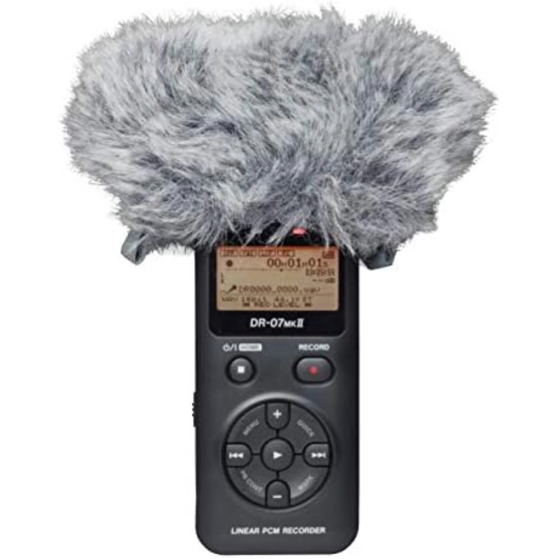 Tascam WS-11