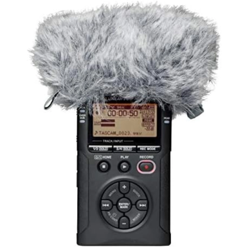 Tascam WS-11