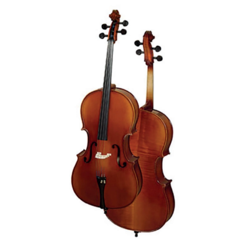 VIOLONCELLO 4/4 REGHIN/ HORA ADVANCED C200 TUTTO MASSELLO