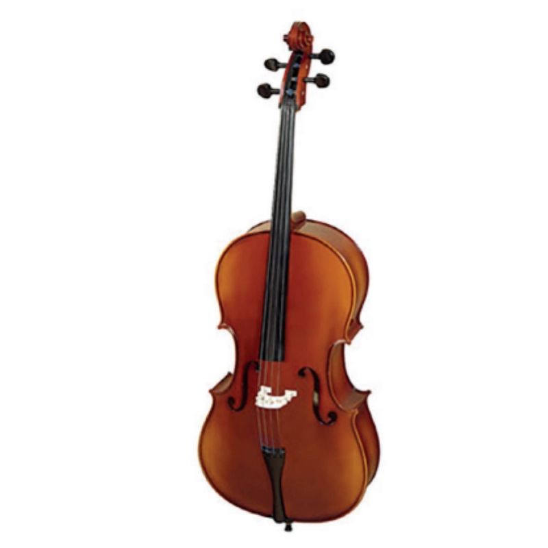 VIOLONCELLO 4/4 REGHIN/ HORA VCMR C100