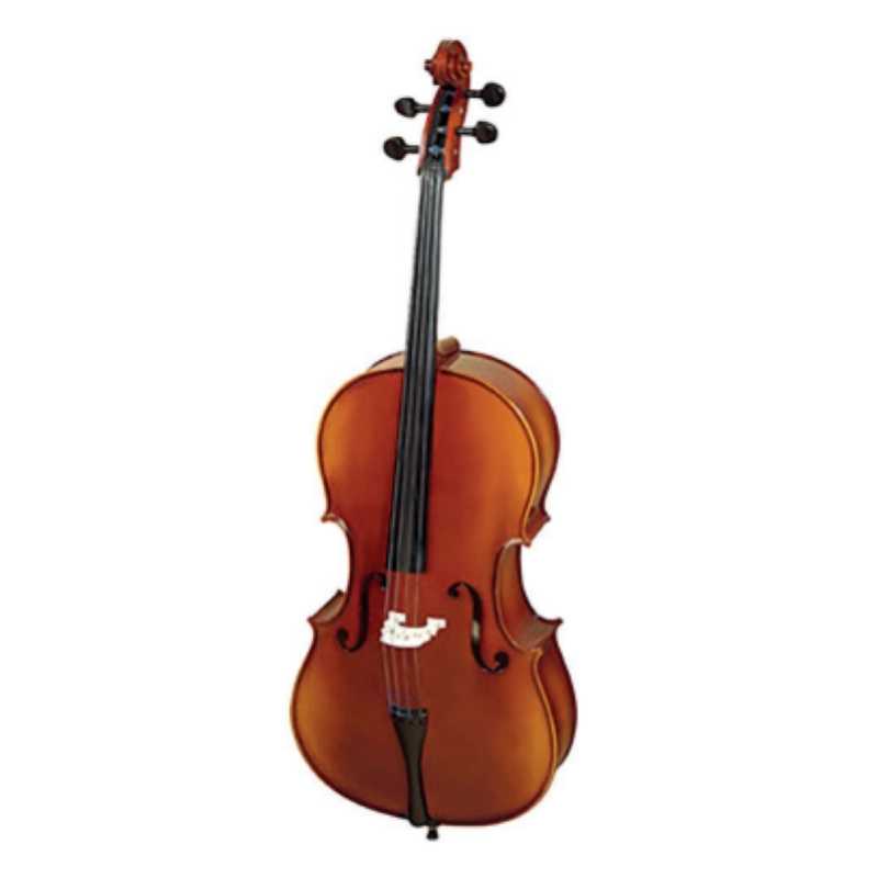 VIOLONCELLO 4/4 REGHIN/ HORA C120
