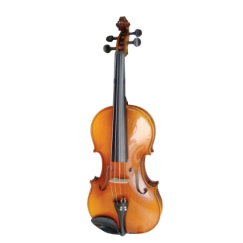 VIOLINO REGHIN HORA VST 3/4 V100