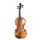 VIOLINO REGHIN HORA VST 3/4 V100