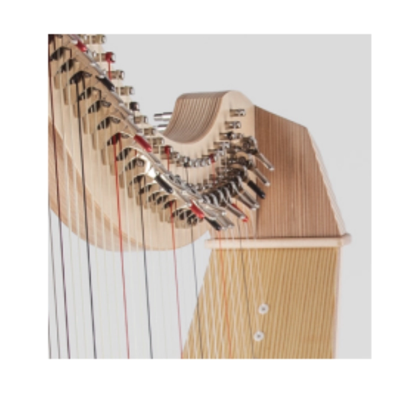 Salvi MIA Arpa Celtica 34 corde completa di coperta protettiva