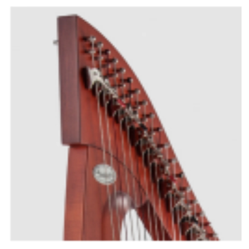 Salvi TITAN arpa celtica 38 corde Biocarbon, con Copertura in Tessuto