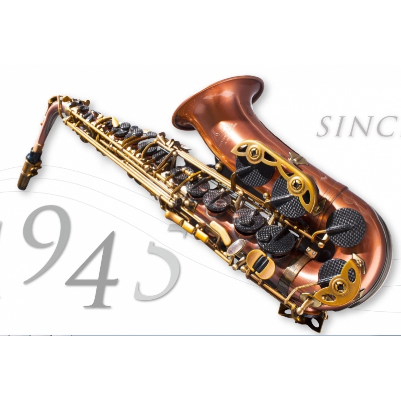 Lien Cheng A-804CB Sax Alto con Chiavi in Fibra di Carbonio