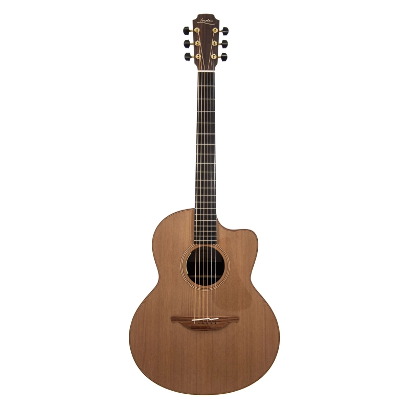 Lowden Original F-25C elettrificata