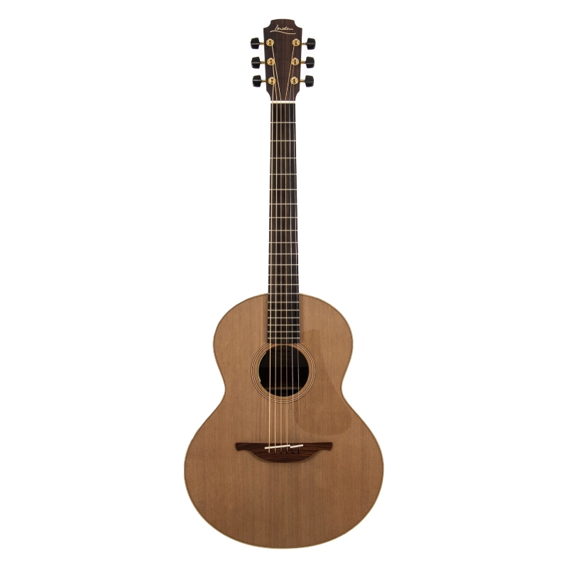 Lowden Original S-23 elettrificata