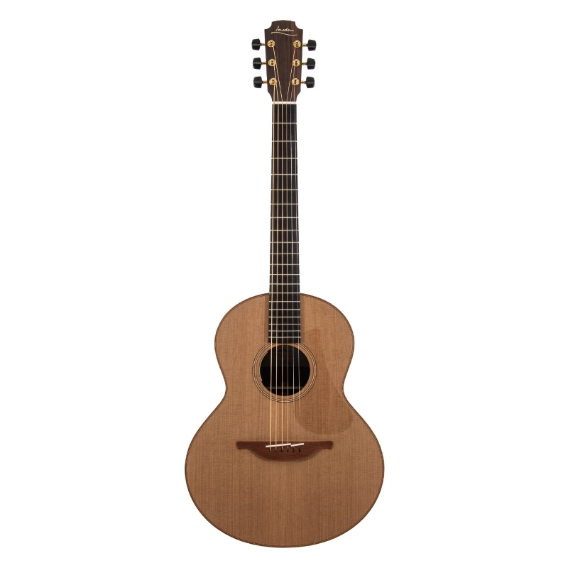 Lowden Original S-25 elettrificata