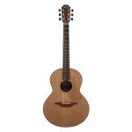 Lowden Original S-25 elettrificata