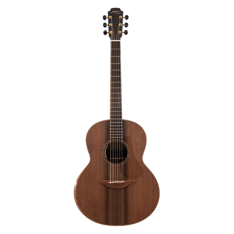 Lowden The 35 F-35-IR/RW elettrificata