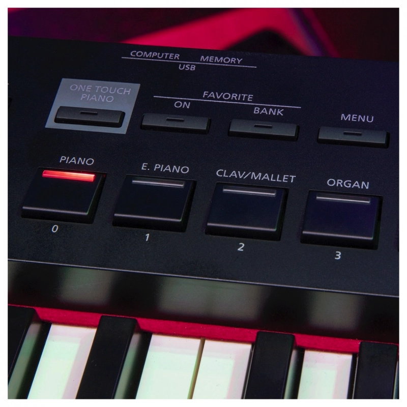 Roland RD88EX Stage Piano Compatto Professionale 88 Tasti