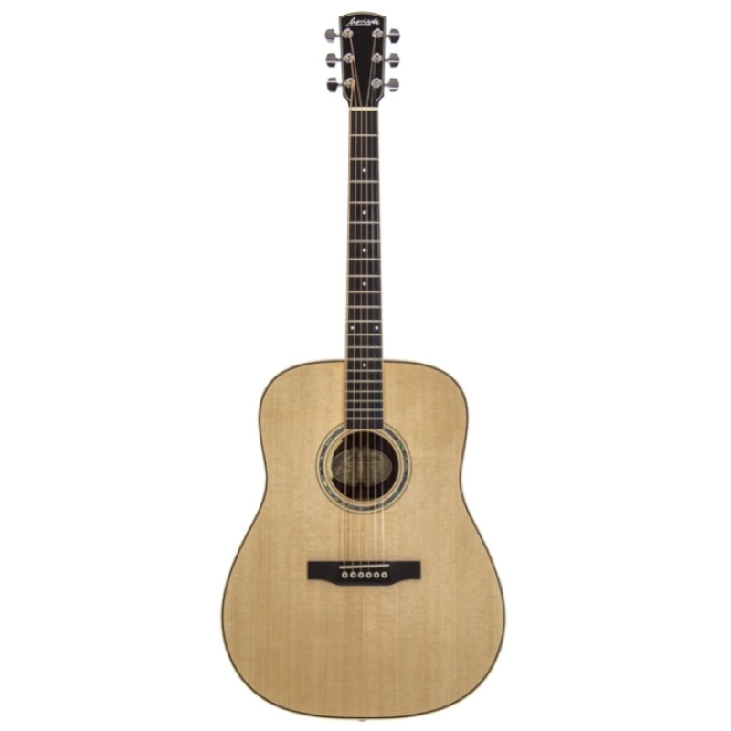 Larrivee 09 Dreadnought Elet D09