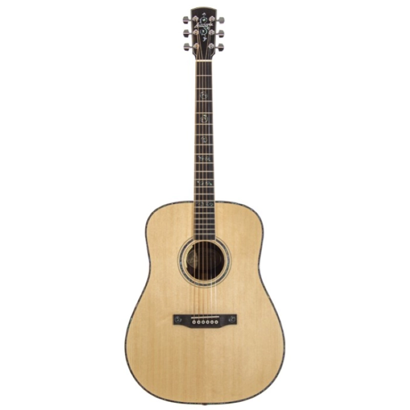 Larrivee 10 Dreadnought Elettrificata D10