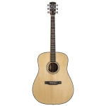 Larrivee 10 Dreadnought Elettrificata D10