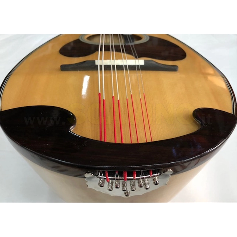 Suzuki  MD8 Mandola scanalata
