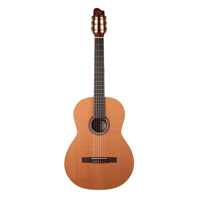 Godin Guitars Collection COLLECTION