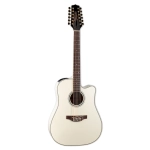 Takamine G Series Dreadnought 12 Ctw Elet G Series Pro GD37CE