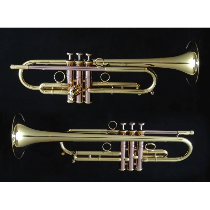Carol Brass Andrea Giuffredi II Commercial Model Tromba in Sib Laccata