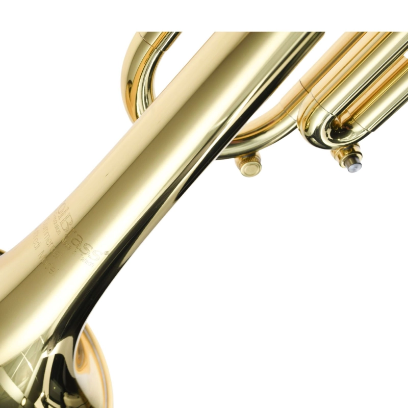Carol Brass Andrea Giuffredi II Commercial Model Tromba in Sib Laccata