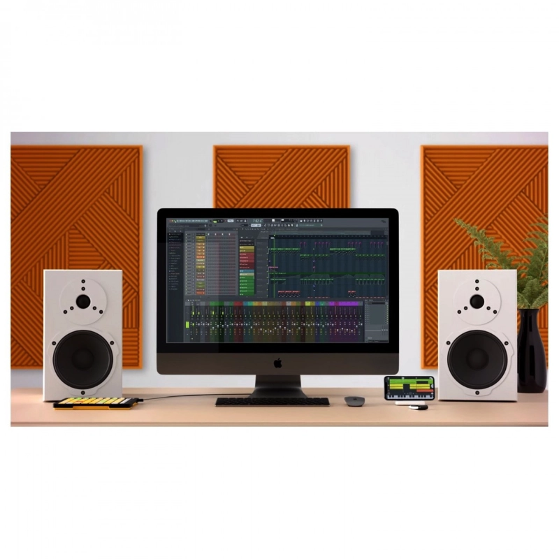 Image Line FL Studio 20 Producer Edition Software per Sequencing di Musica con Strumenti Virtuali