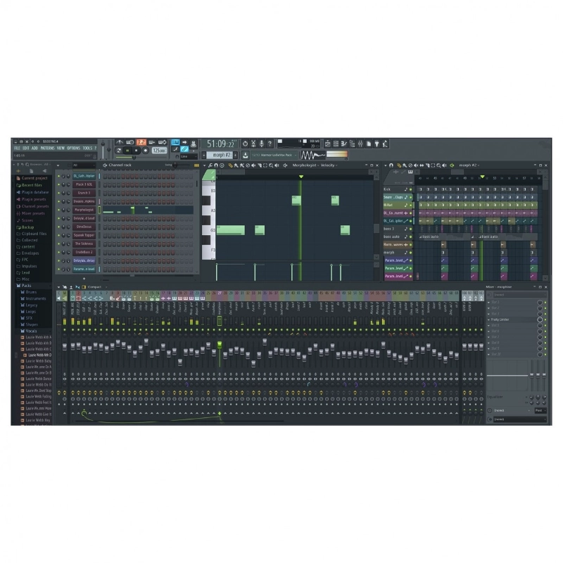 Image Line FL Studio Signature Bundle Software per Sequencing e Produzione di Musica con Strumenti Virtuali e Plugin