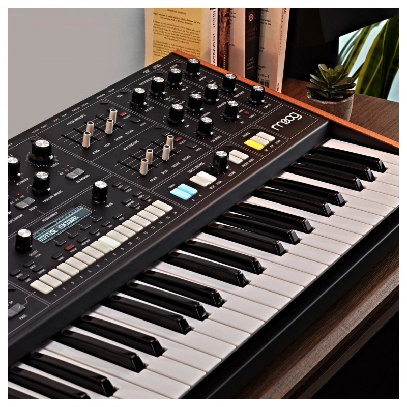 Moog Music Muse Sintetizzatore Polifonico Analogico 8 Voci