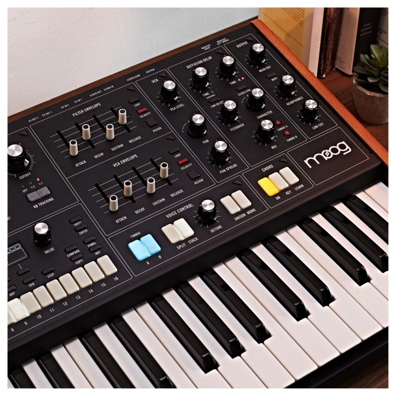 Moog Music Muse Sintetizzatore Polifonico Analogico 8 Voci