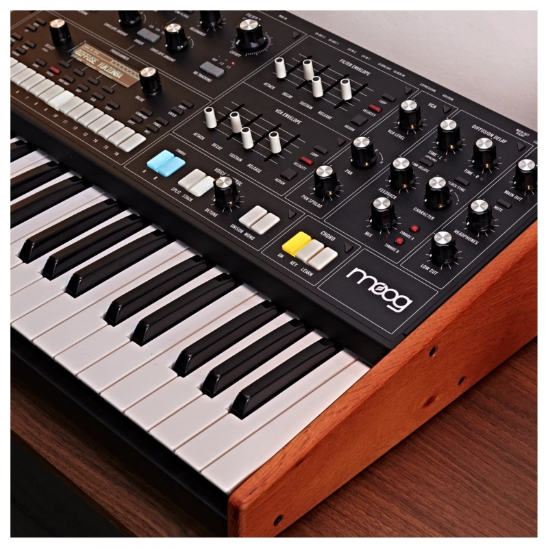 Moog Music Muse Sintetizzatore Polifonico Analogico 8 Voci