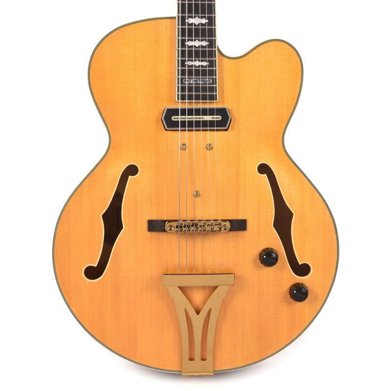 Ibanez PM3C-NAL Pat Metheny con astuccio