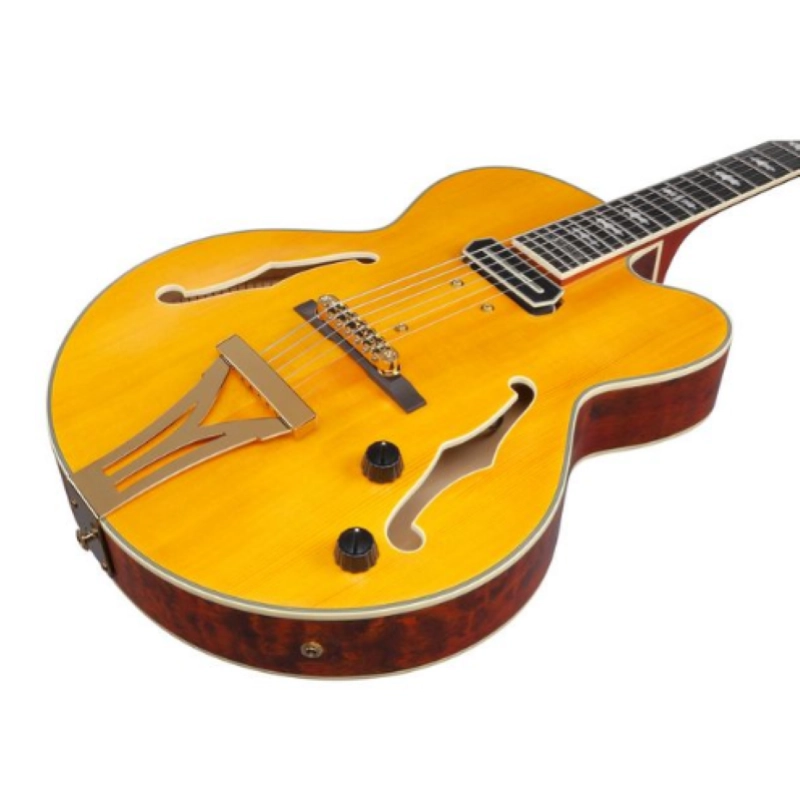 Ibanez PM3C-NAL Pat Metheny con astuccio