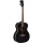 Eko Guitars NXT A100 See Through Black